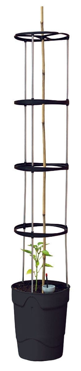 Grotårn - Antracit grå - Blomsterverden